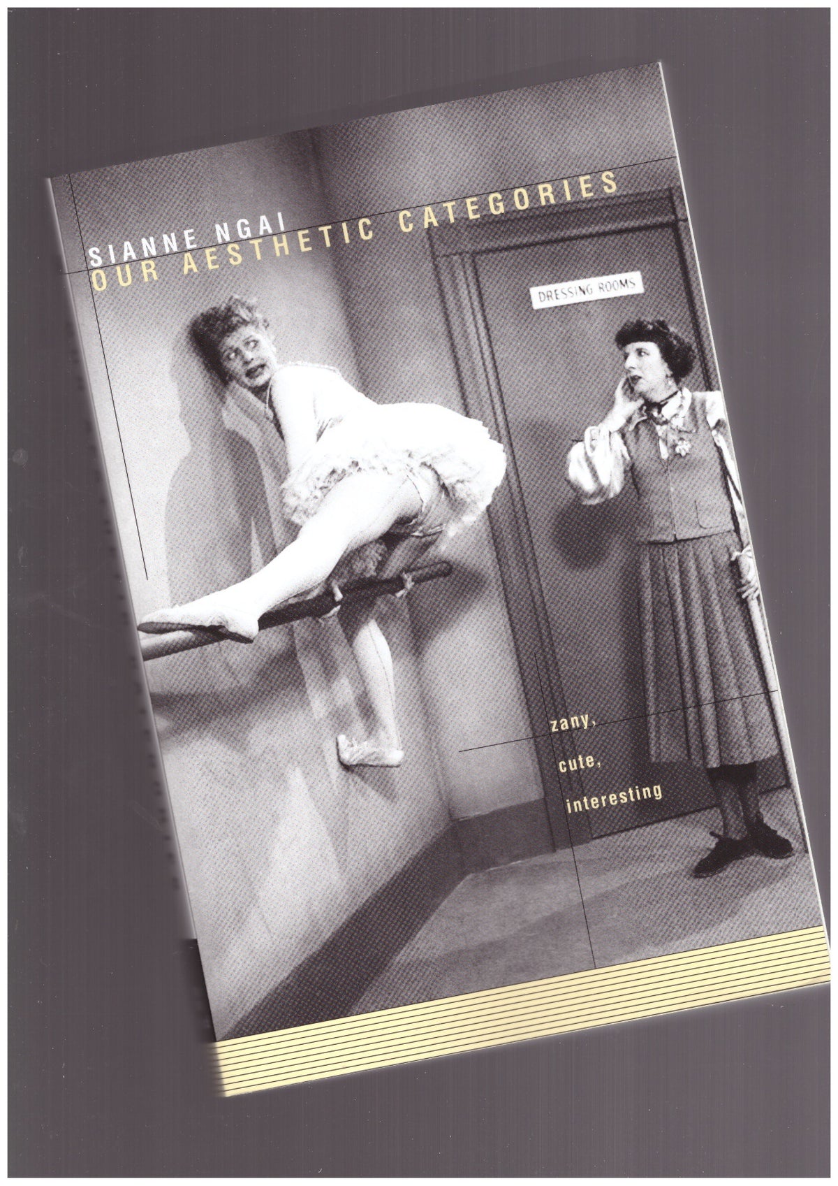 Our Aesthetic Categories: Zany, Cute, Interesting