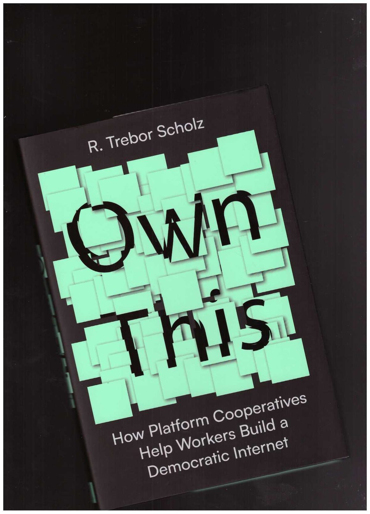 Own This! How Platform Cooperatives Help Workers Build a Democratic Internet