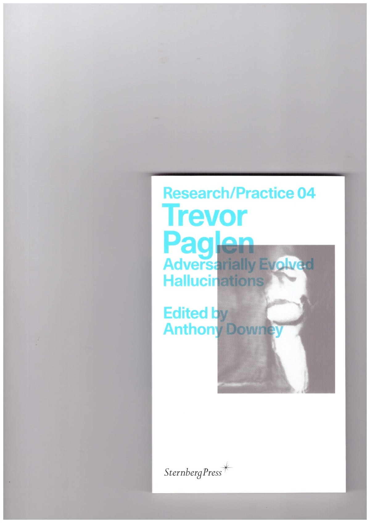 Adversarially Evolved Hallucinations – Research/Practice 04