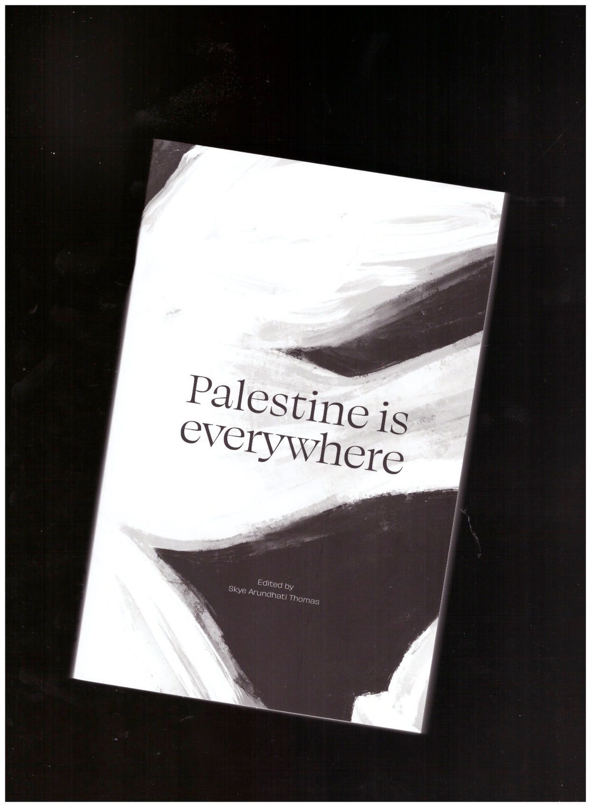 Palestine is Everywhere