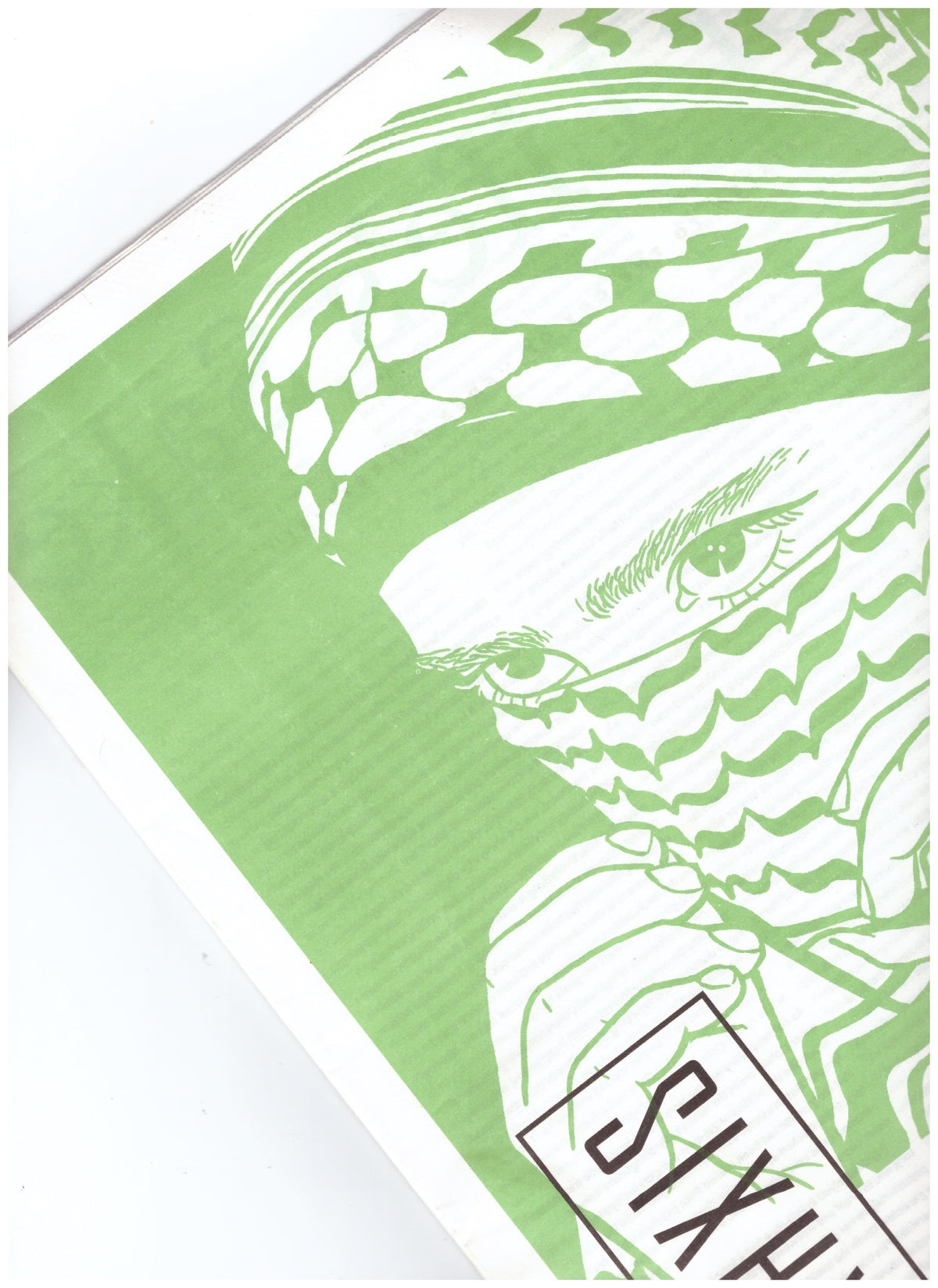 Parapraxis: The Palestine issue