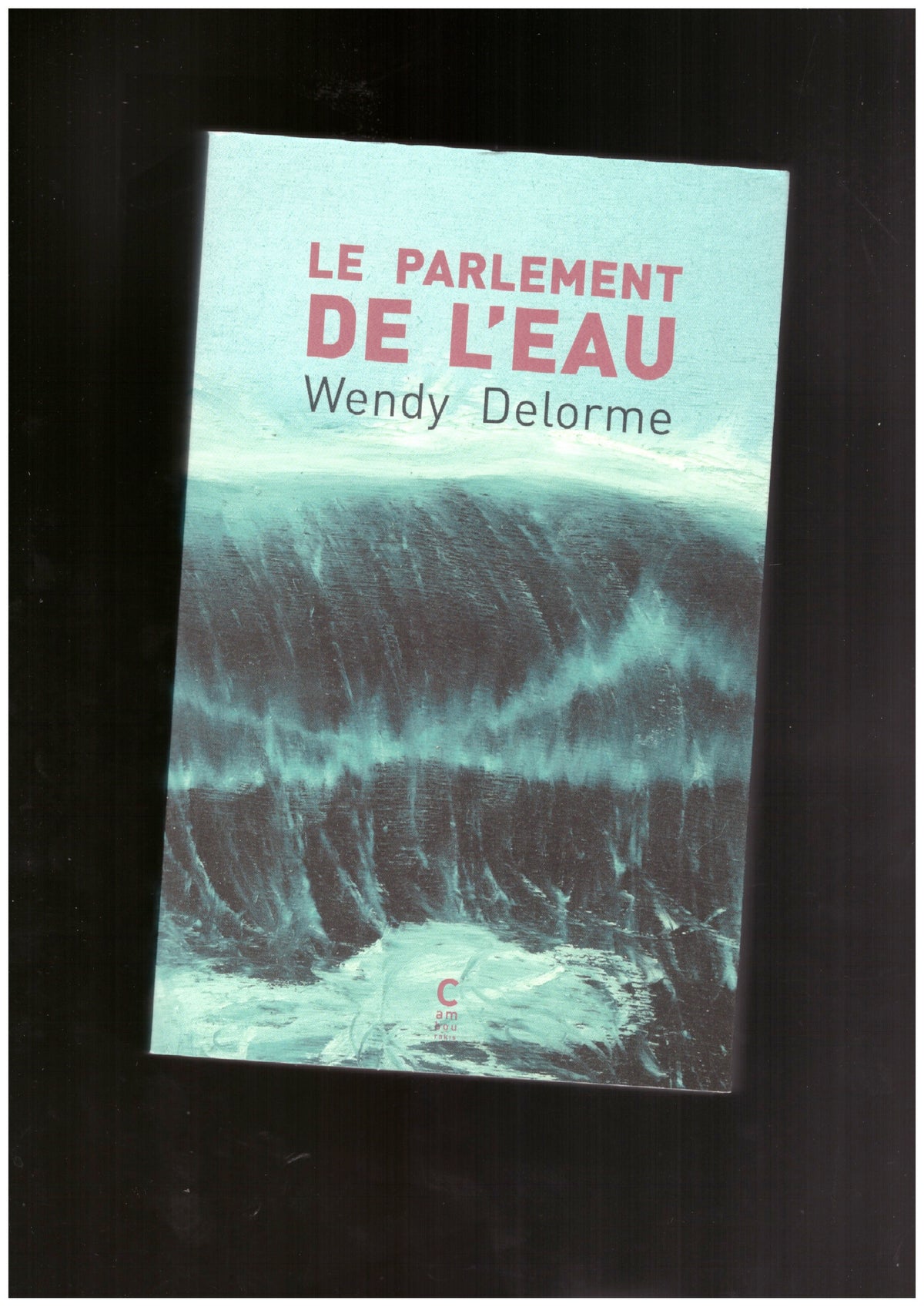 Le Parlement de l’eau