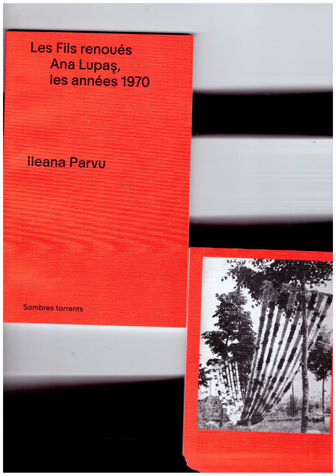 Les Fils renoués. Ana Lupaş, les années 70