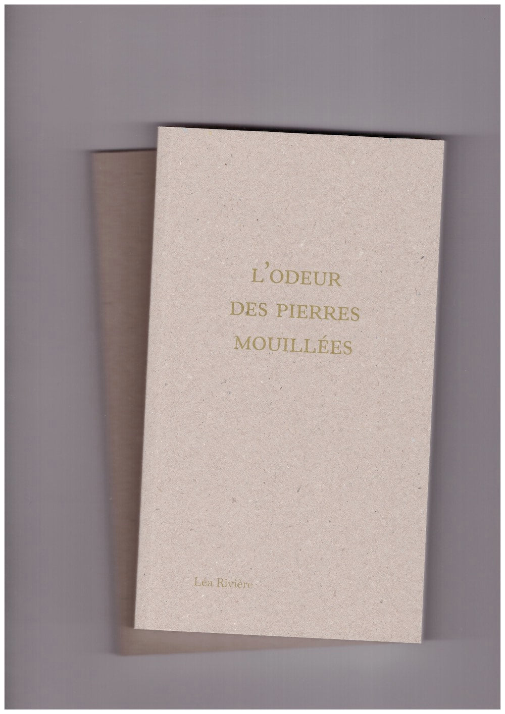 L’odeur des pierres mouillées