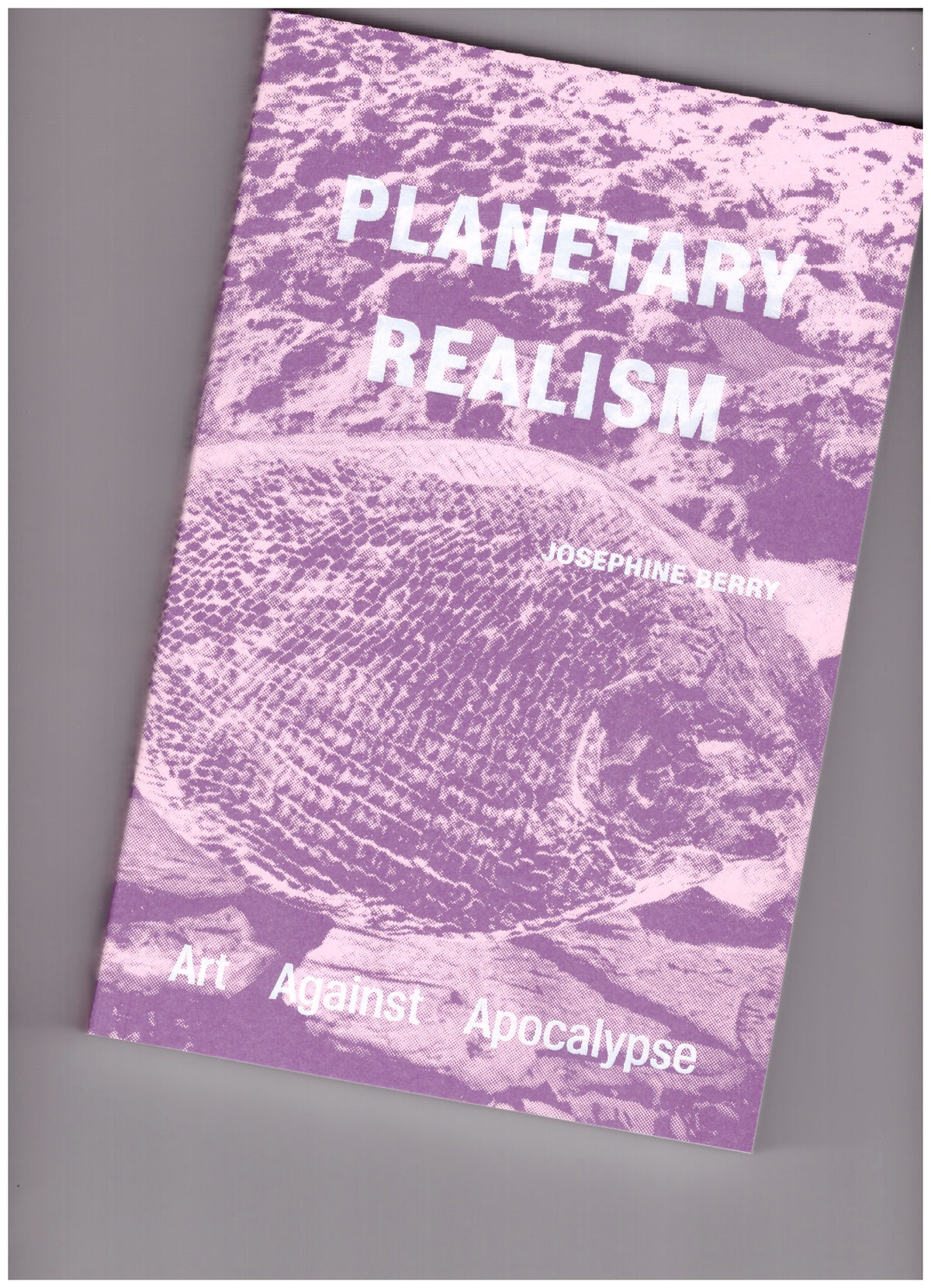Planetary Realism – Art Against Apocalypse