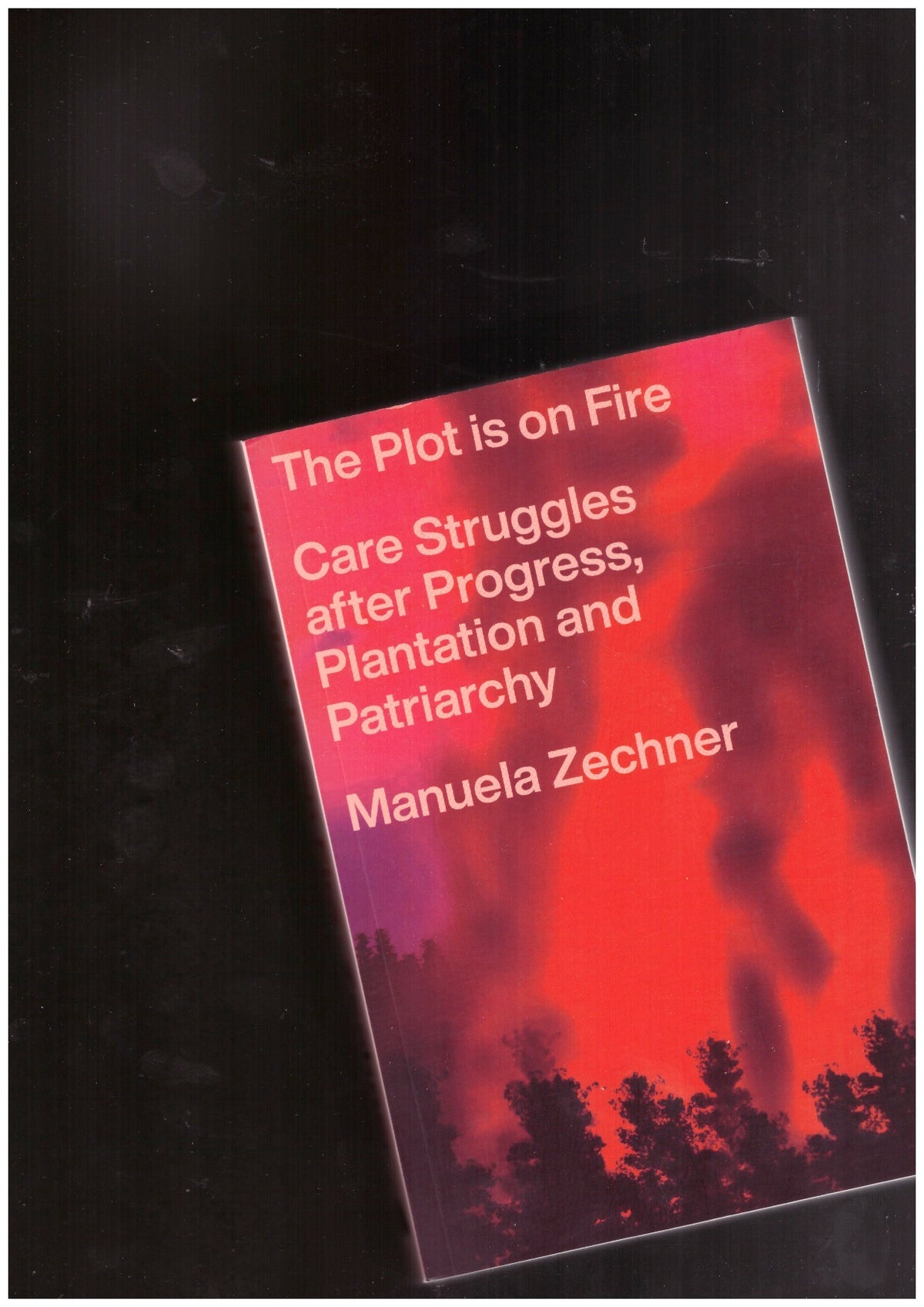 The Plot is on Fire. Care Struggles after Progress, Plantation and Patriarchy