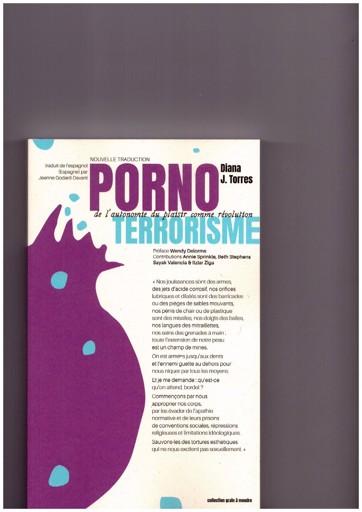 Pornoterrorisme. De l’autonomie du plaisir comme révolution