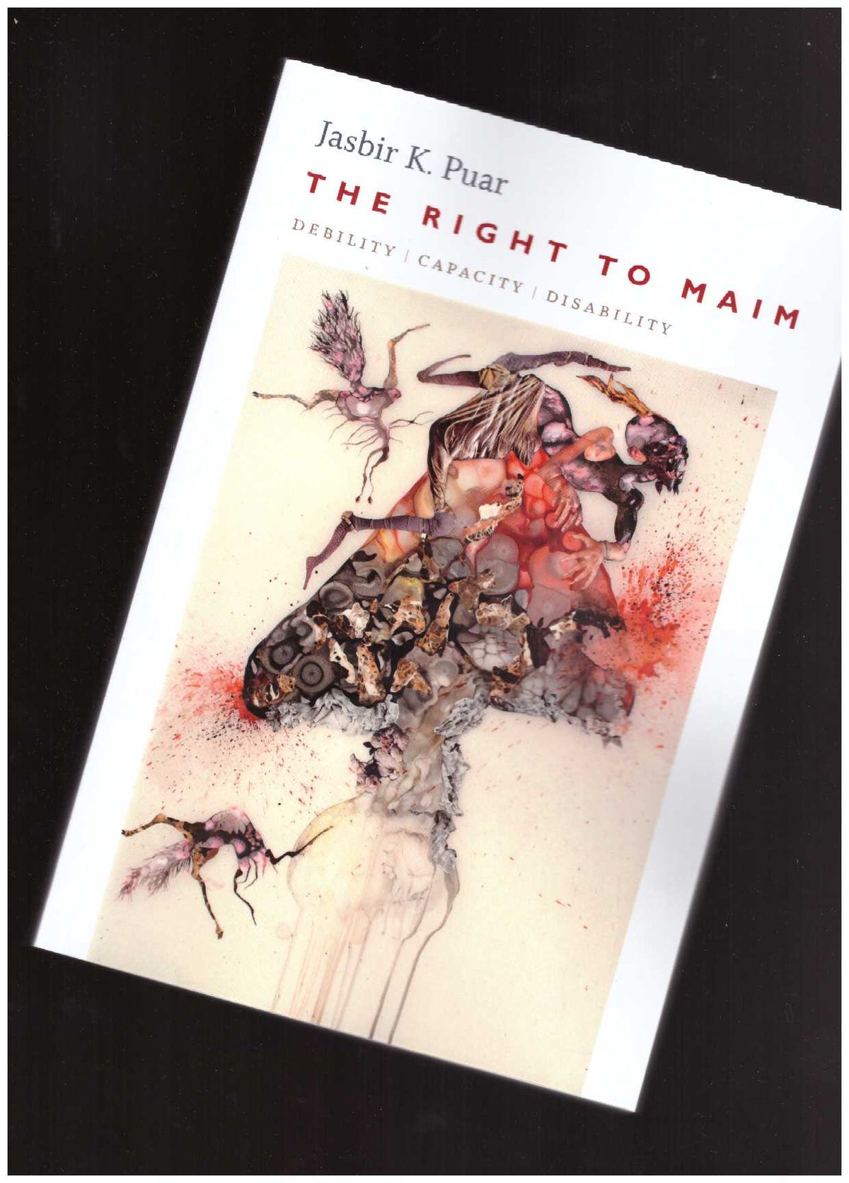 The Right to Maim. Debility, Capacity, Disability