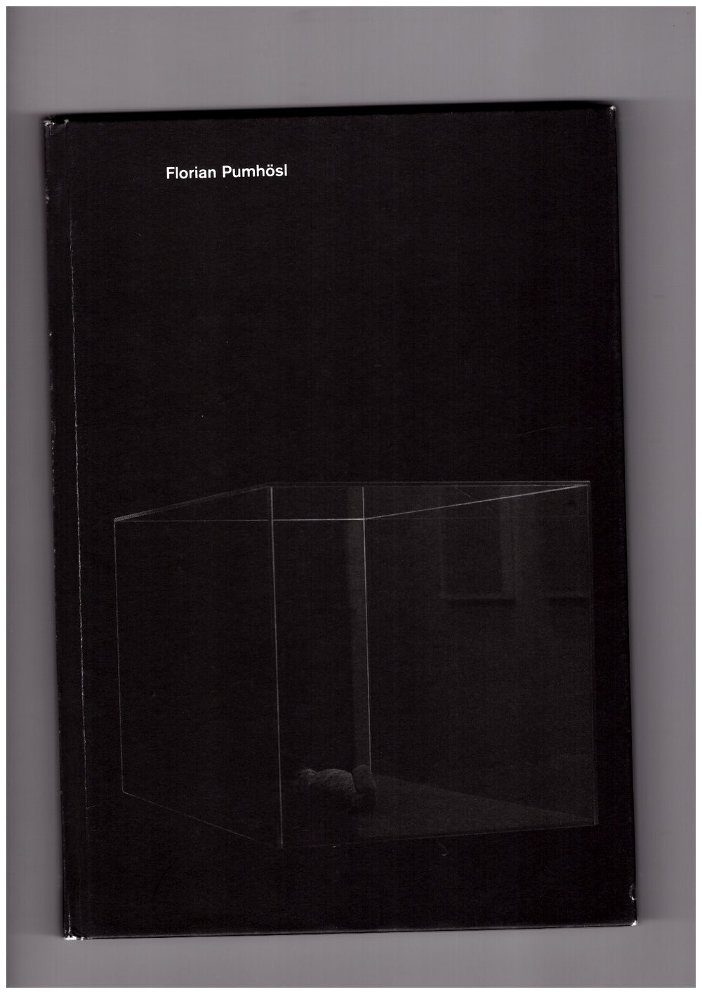 Florian Pumhösl [Kölnischer Kunstverein]