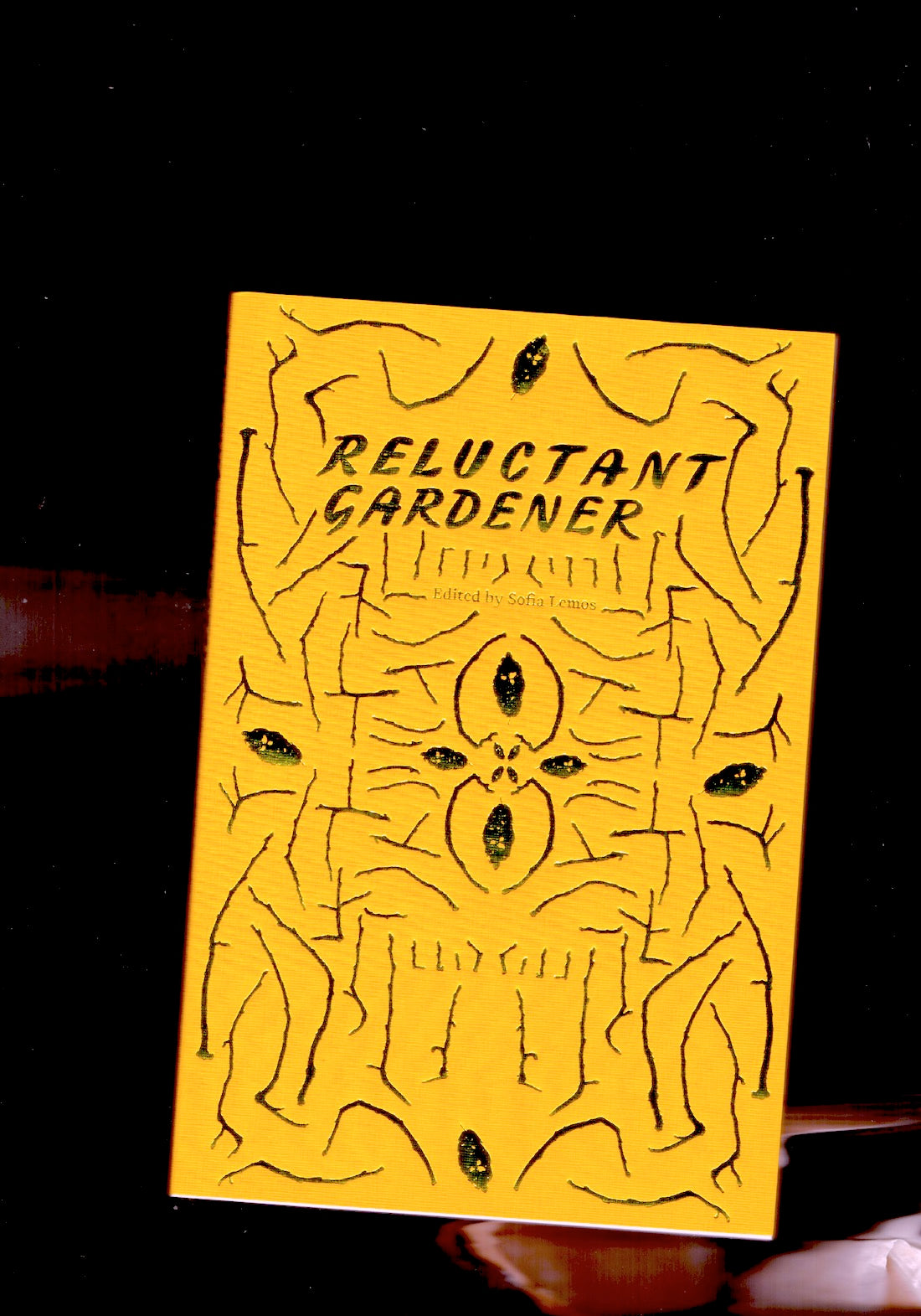 Reluctant Gardener