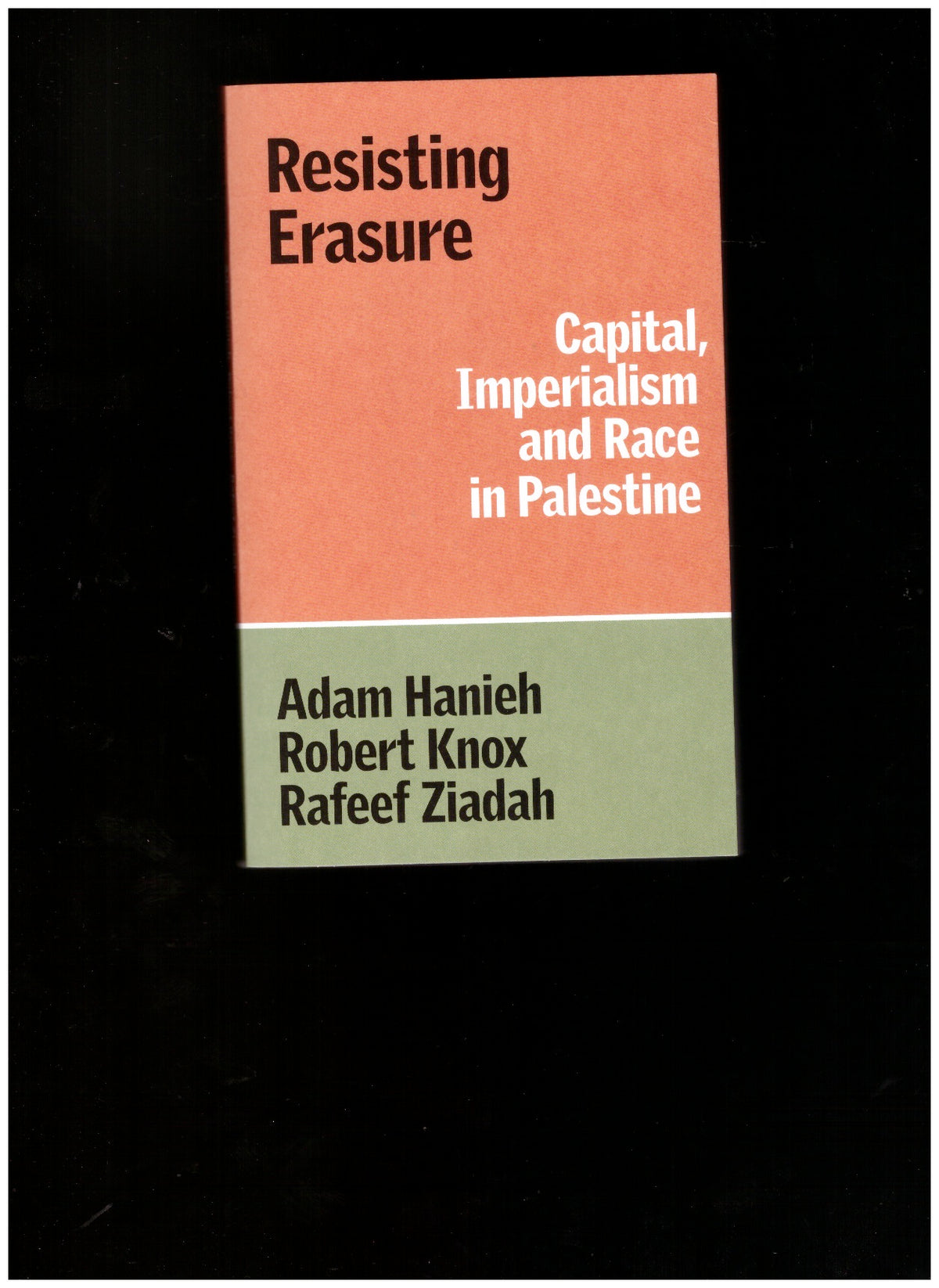 Resisting Erasure: Capital, Imperialism and Race in Palestine