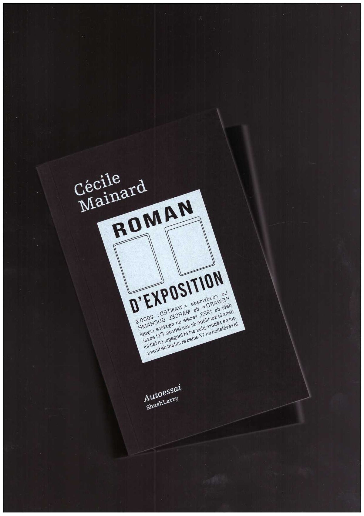 Roman d'exposition
