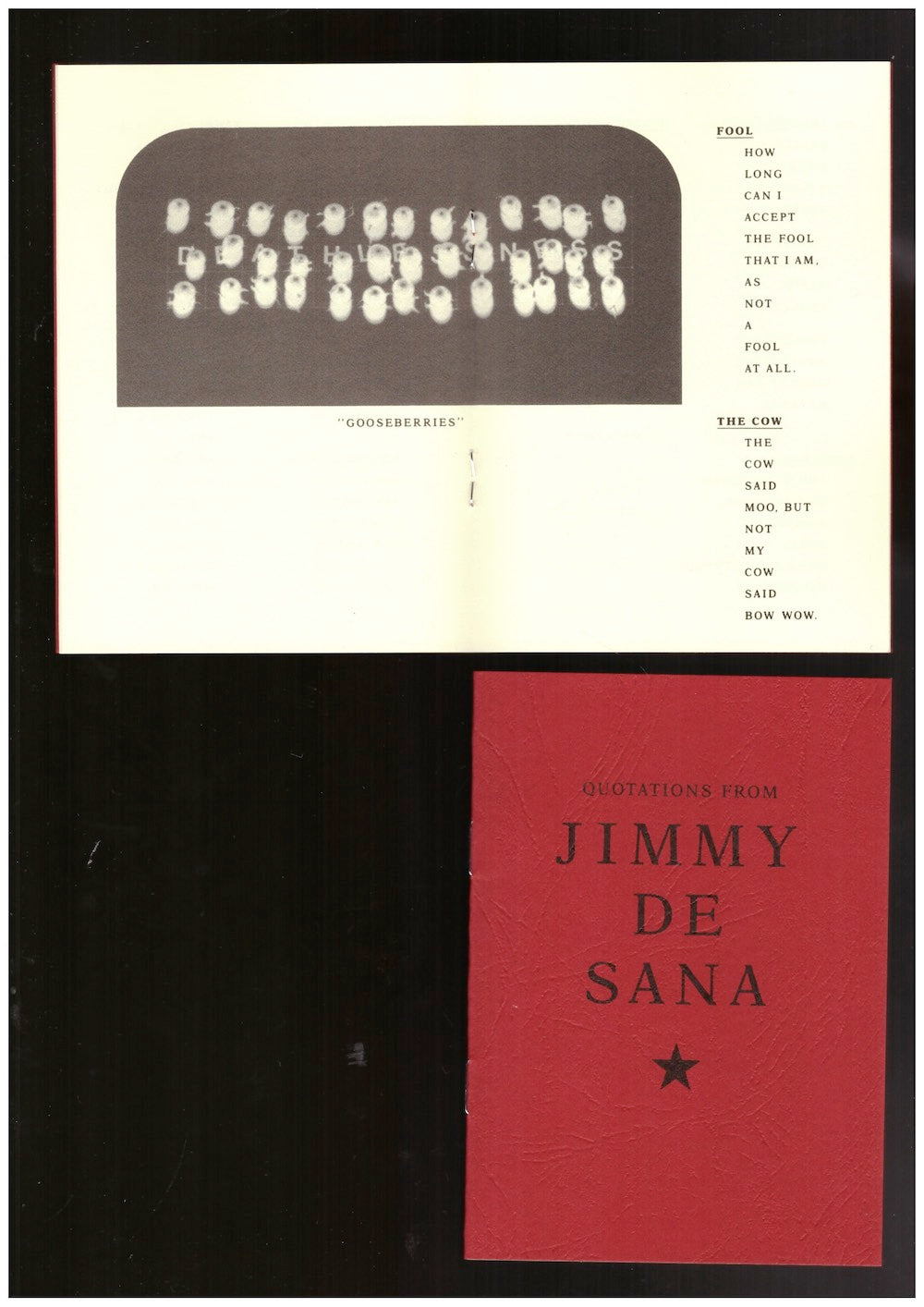 Quotations from Jimmy DeSana