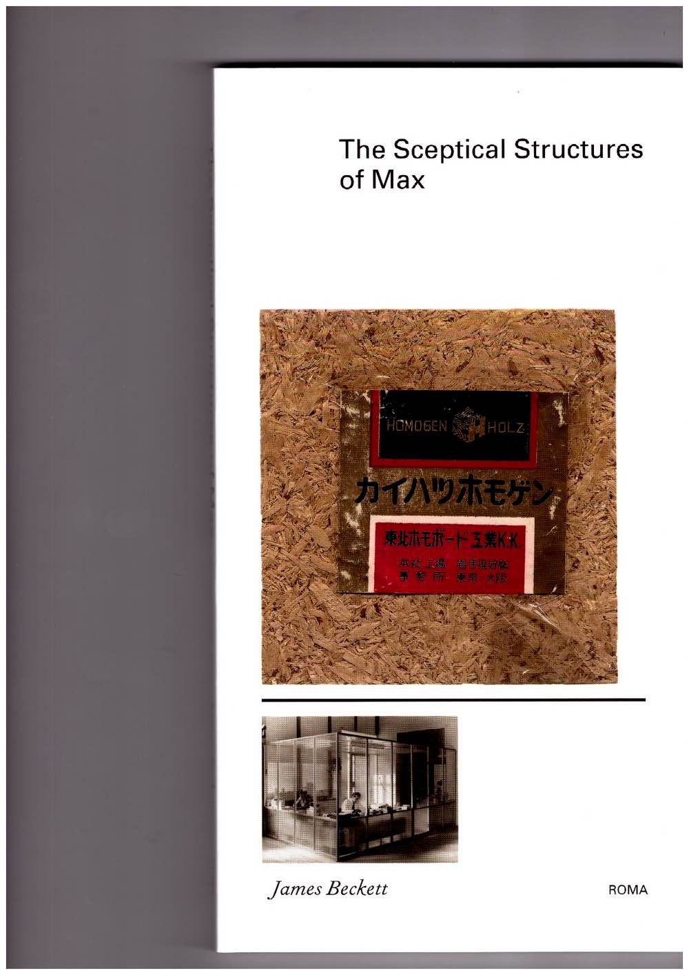 The Sceptical Structures of Max