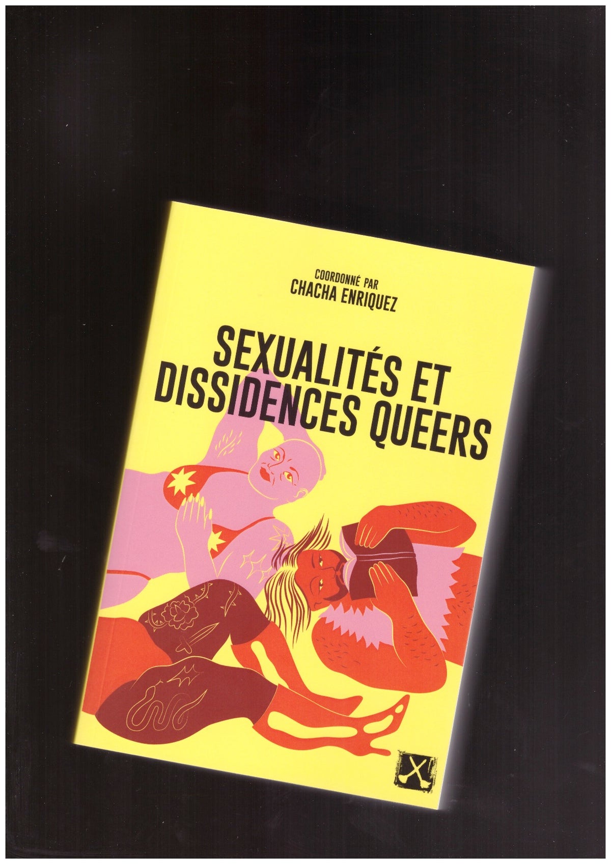 Sexualités et dissidences queer