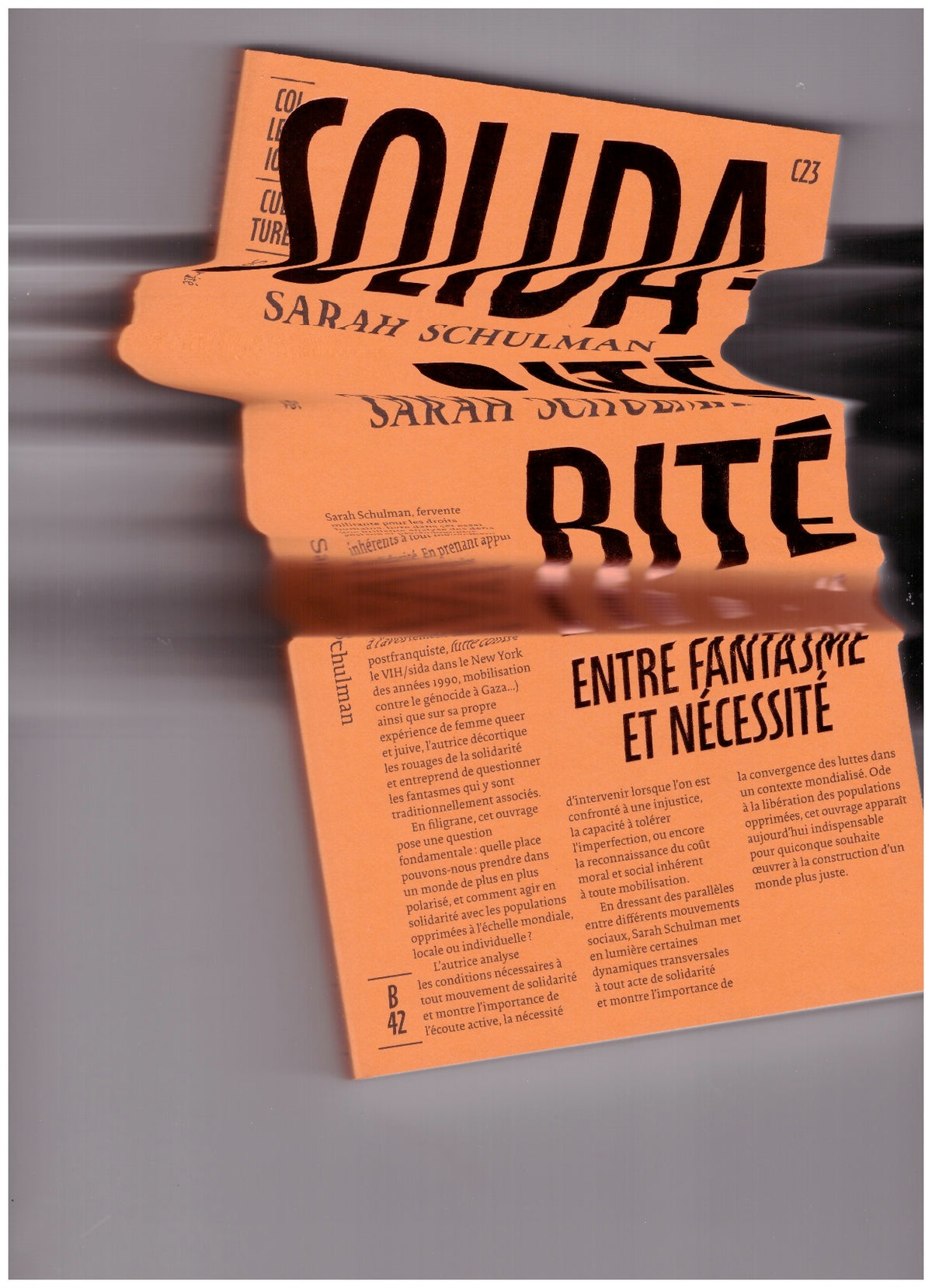 Solidarité. Entre fantasme et necessité