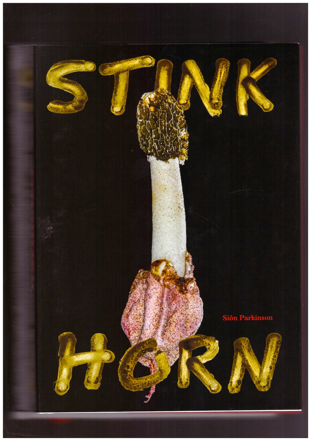 Stinkhorn. How Nature’s Most Foul Smelling Mushroom Can Change the Way We Listen