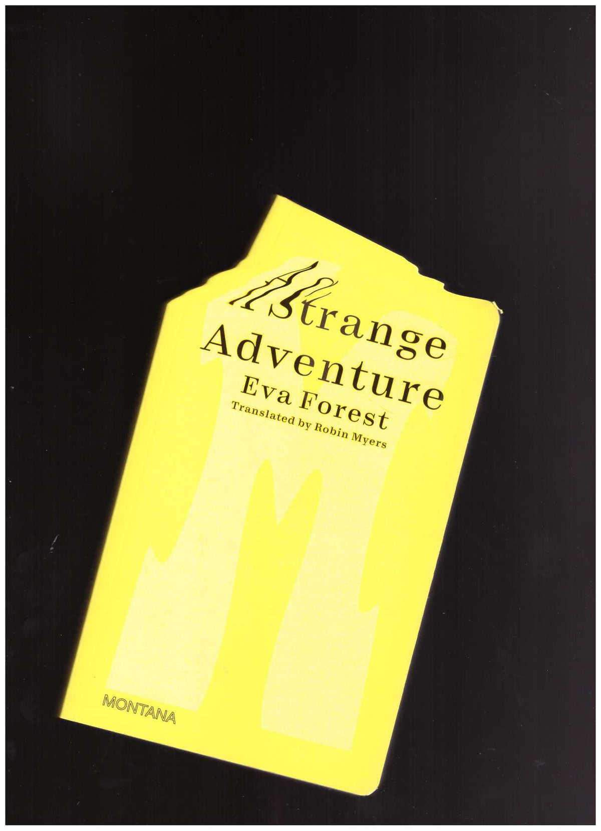 A Strange Adventure