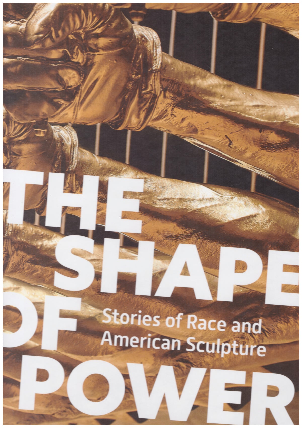 The Shape of Power: Stories of Race and American Sculpture