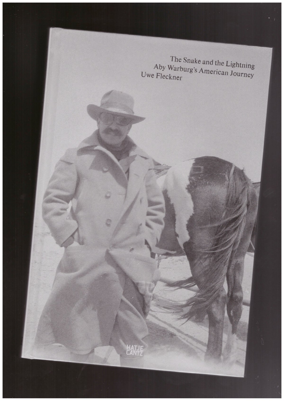 The Snake and the Lightning: Aby Warburg's American Journey