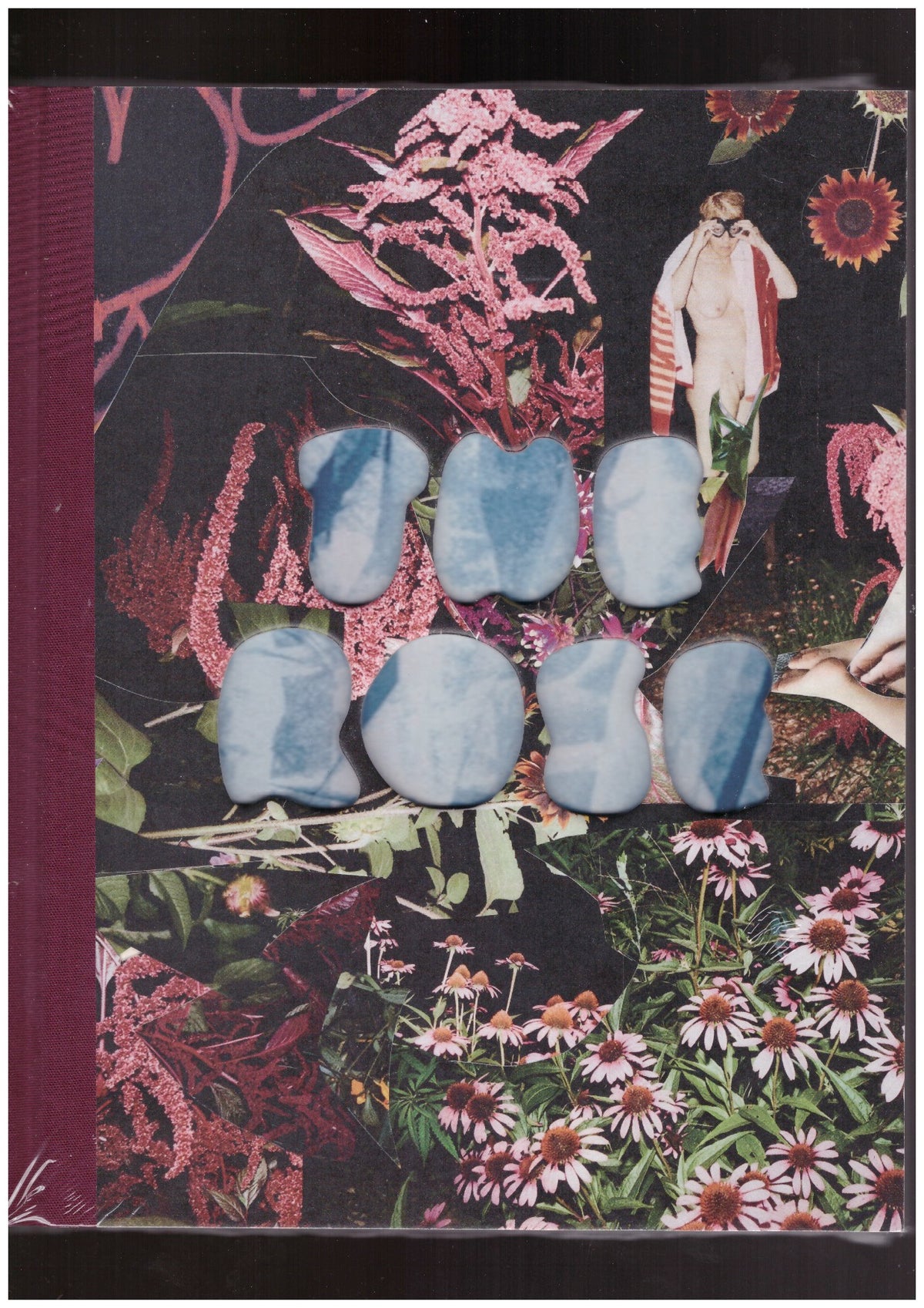 The Rose: A Circular Genealogy of Collage