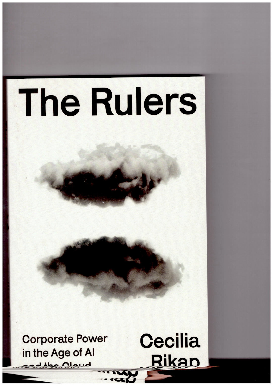 The Rulers: Corporate Power in the Age of AI and the Cloud