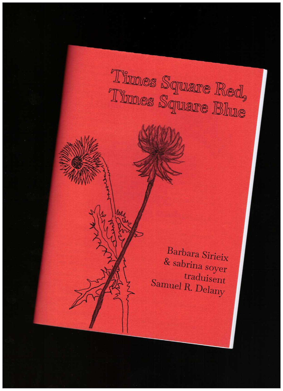 Times Square Red, Times Square Blue (extraits traduits)