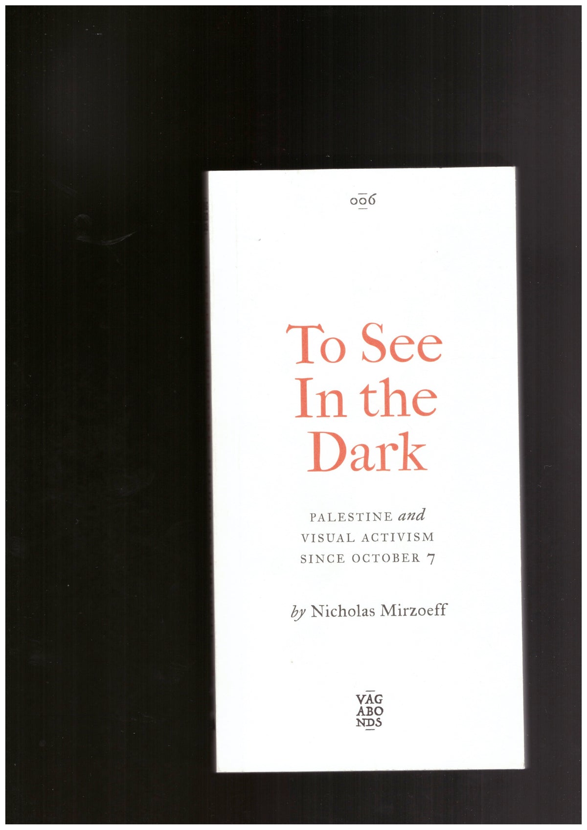 To See In the Dark. Palestine and Visual Activism Since October 7