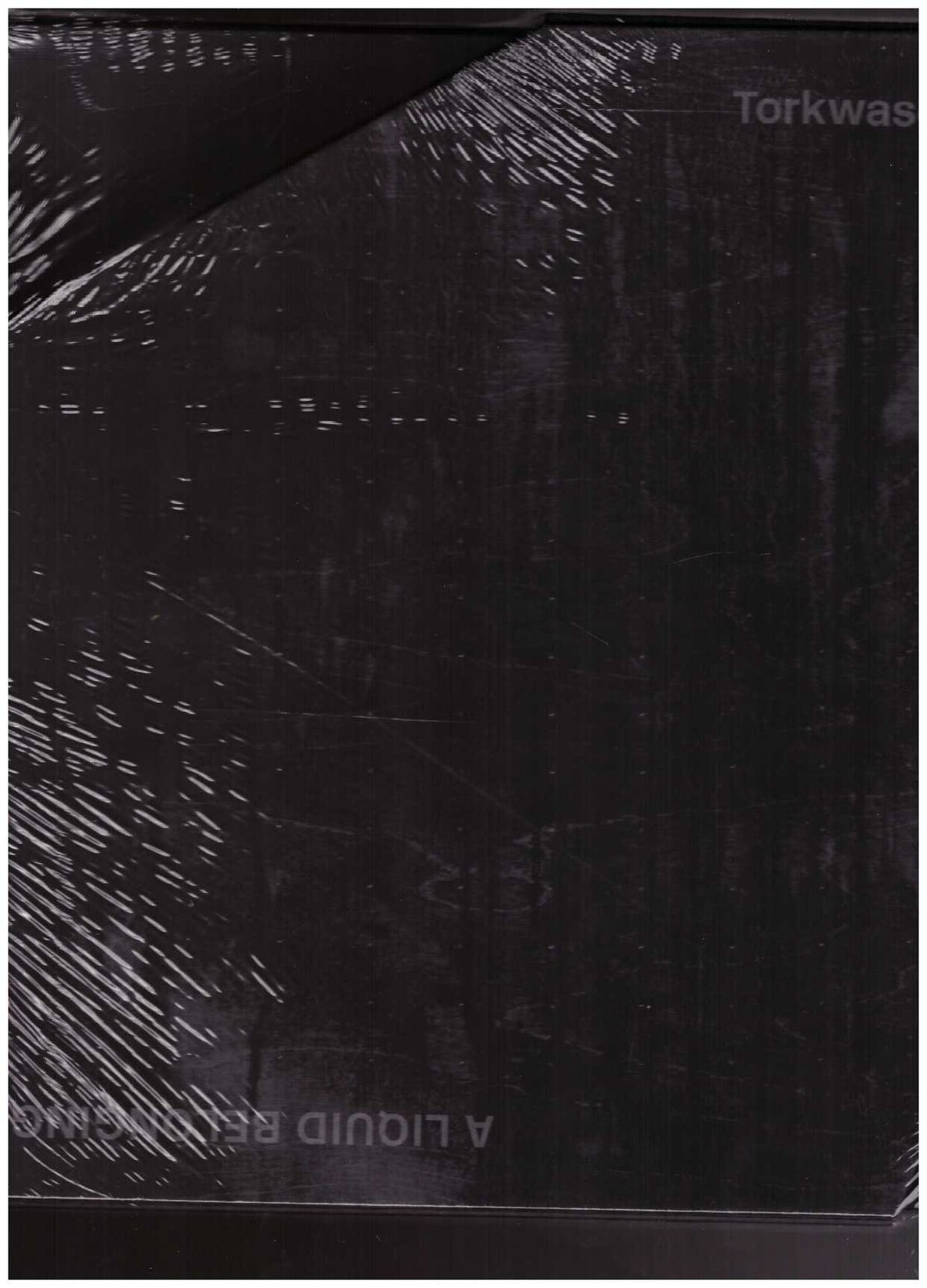 Torkwase Dyson: A Liquid Belonging