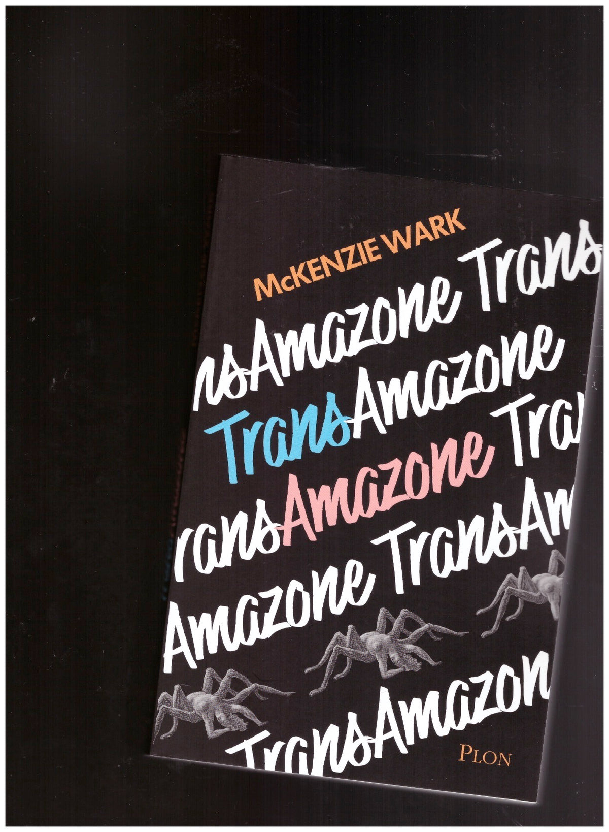 Trans Amazone