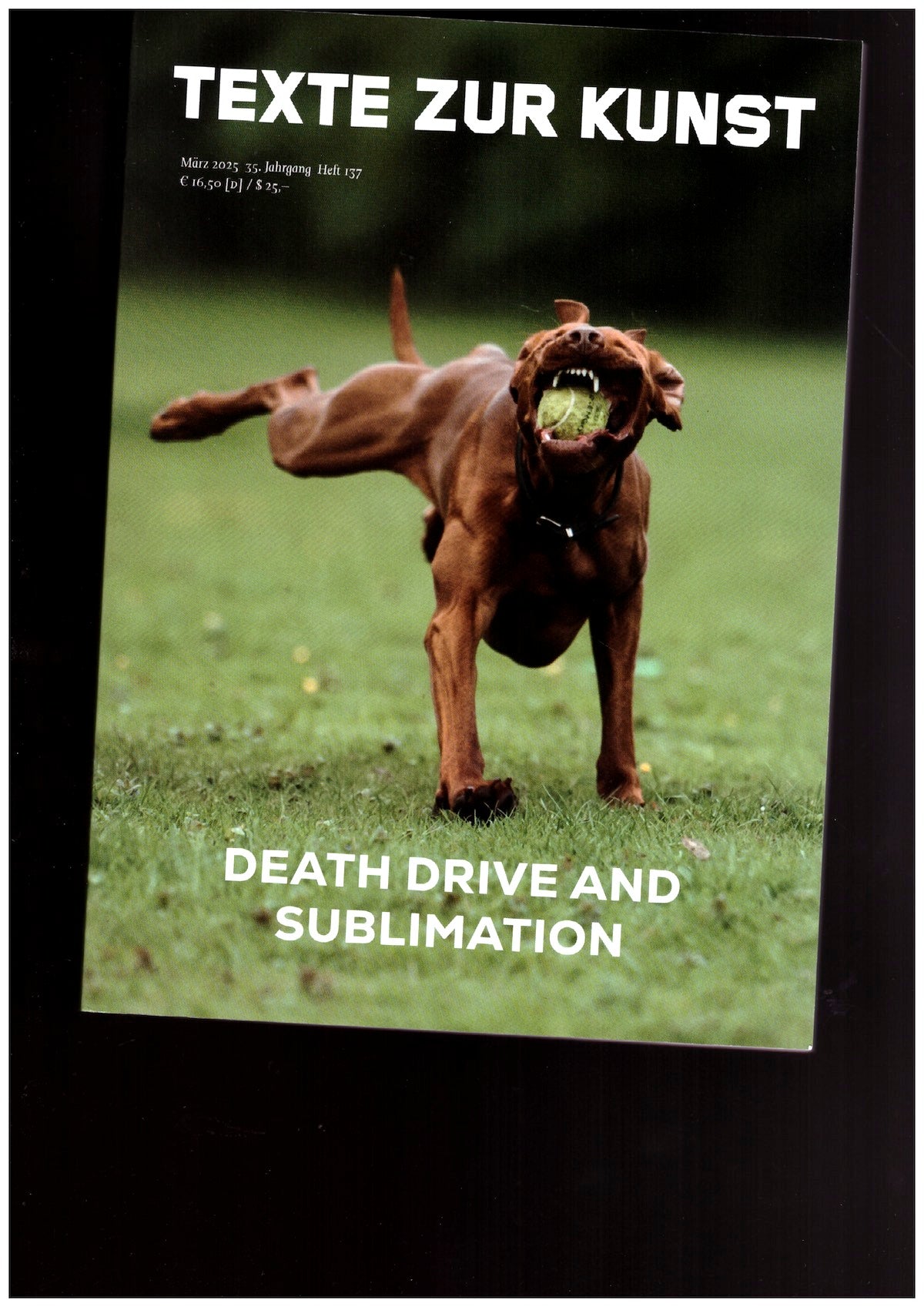 Texte Zur Kunst 35/137 (März 2025) Death Drive and Sublimation