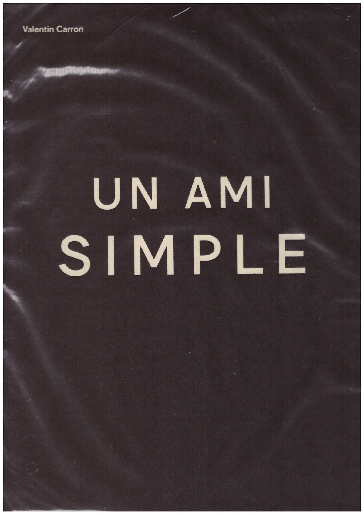 Un Ami Simple