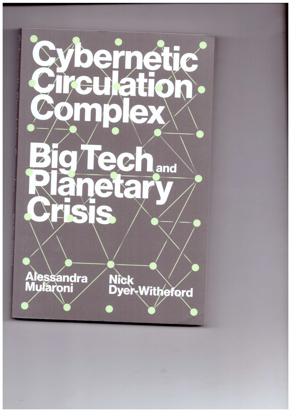 Cybernetic Circulation Complex: Big Tech and Planetary Crisis