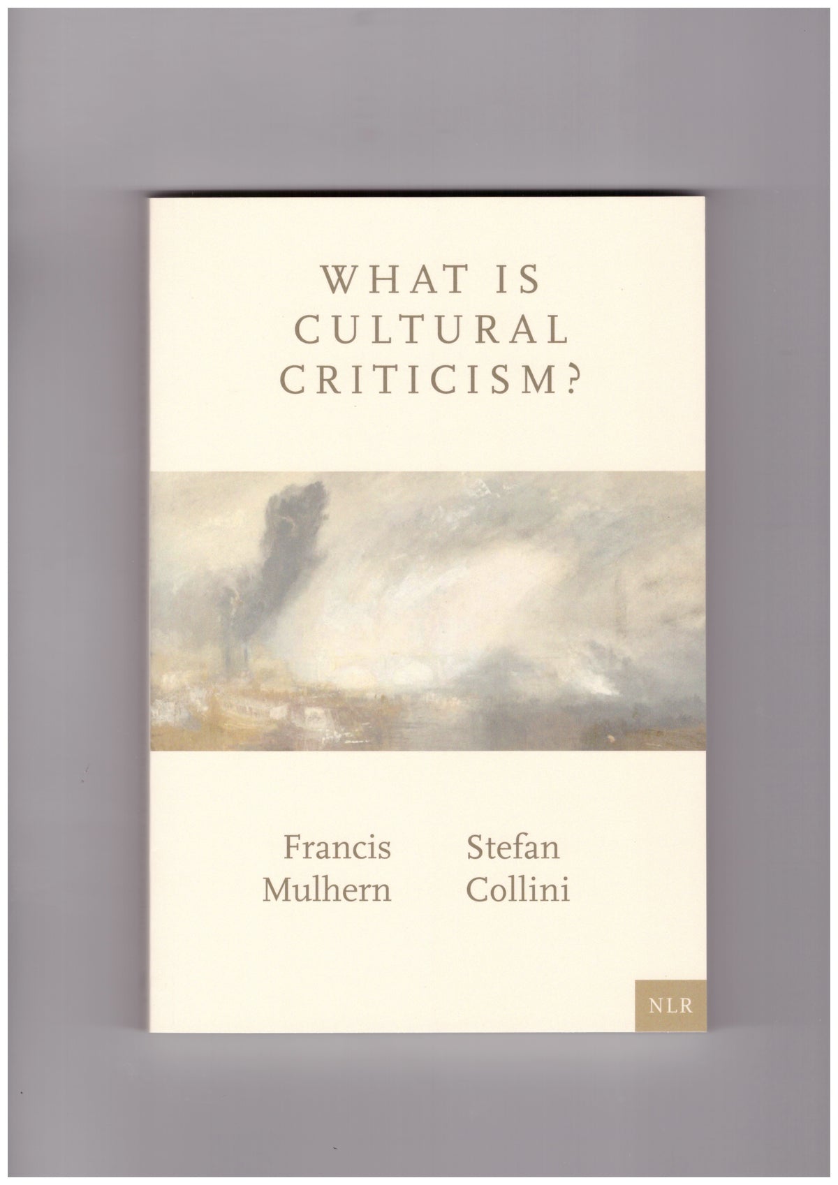 What is cultural criticism?