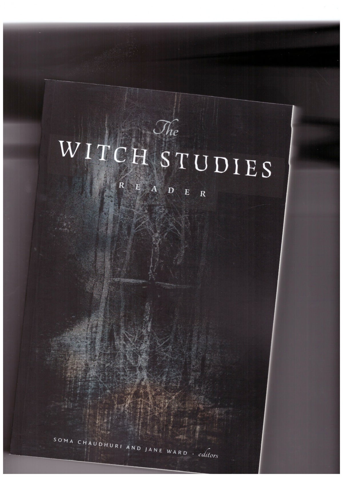 The Witch Studies Reader